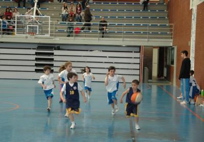 BabybasketMarzo2012 SanFernando7
