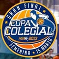 Logo CopaColegialFinalFem2013