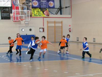 Babybasket San Agustín del Guadalix 24/01/2015 - Foto 7
