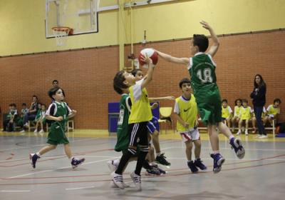 BabybasketFeb2016 Alcobendas11