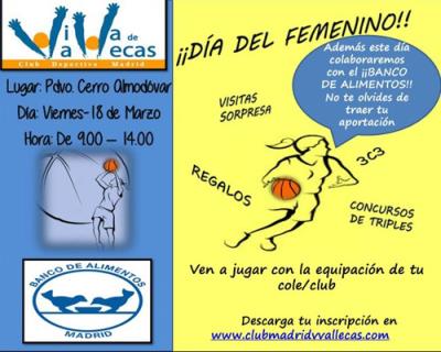 Cartel DiaFemeninoVillaVallecas