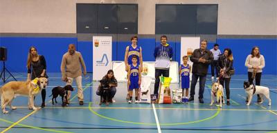Éxito de la Jornada Solidaria del Alcorcón Basket