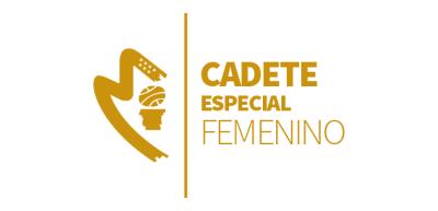 Logo CadFemEsp